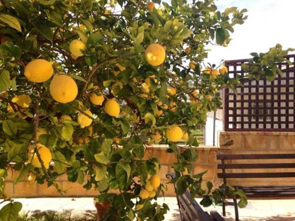 Villa Mara B&B Noto Exterior foto